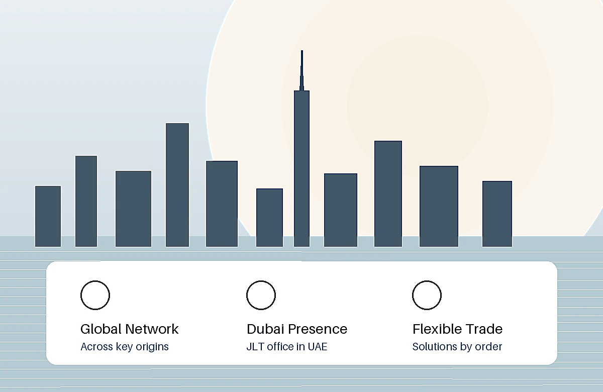 Dubai skyline and FEIT Global network